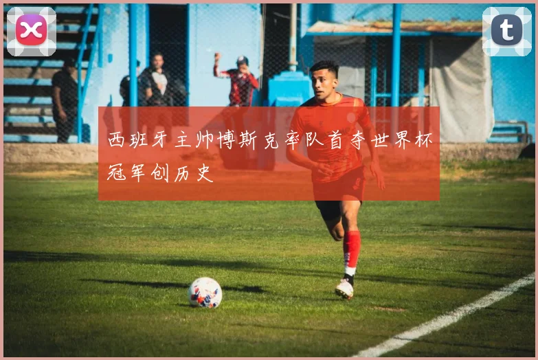 西班牙主帅博斯克率队首夺世界杯冠军创历史