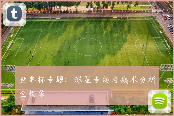 世界杯专题:球星专访与战术分析全收录