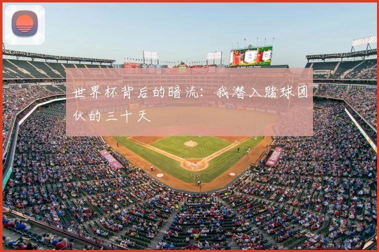 世界杯背后的暗流：我潜入赌球团伙的三十天