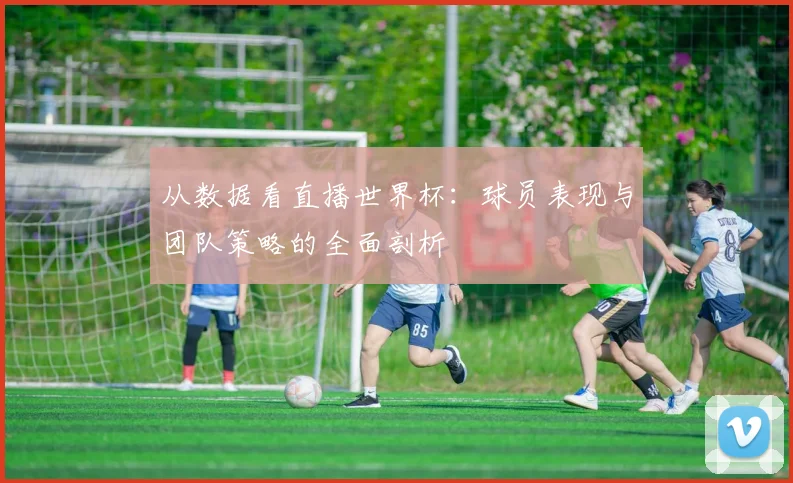 从数据看直播世界杯：球员表现与团队策略的全面剖析