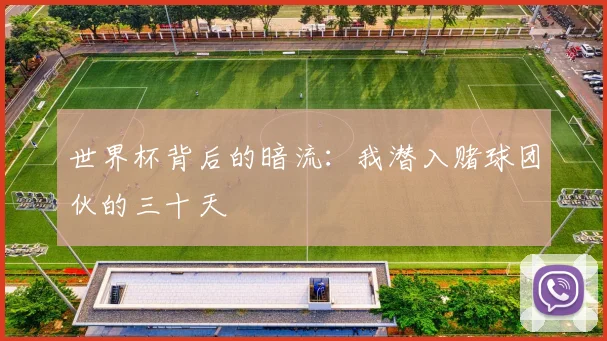 世界杯背后的暗流：我潜入赌球团伙的三十天